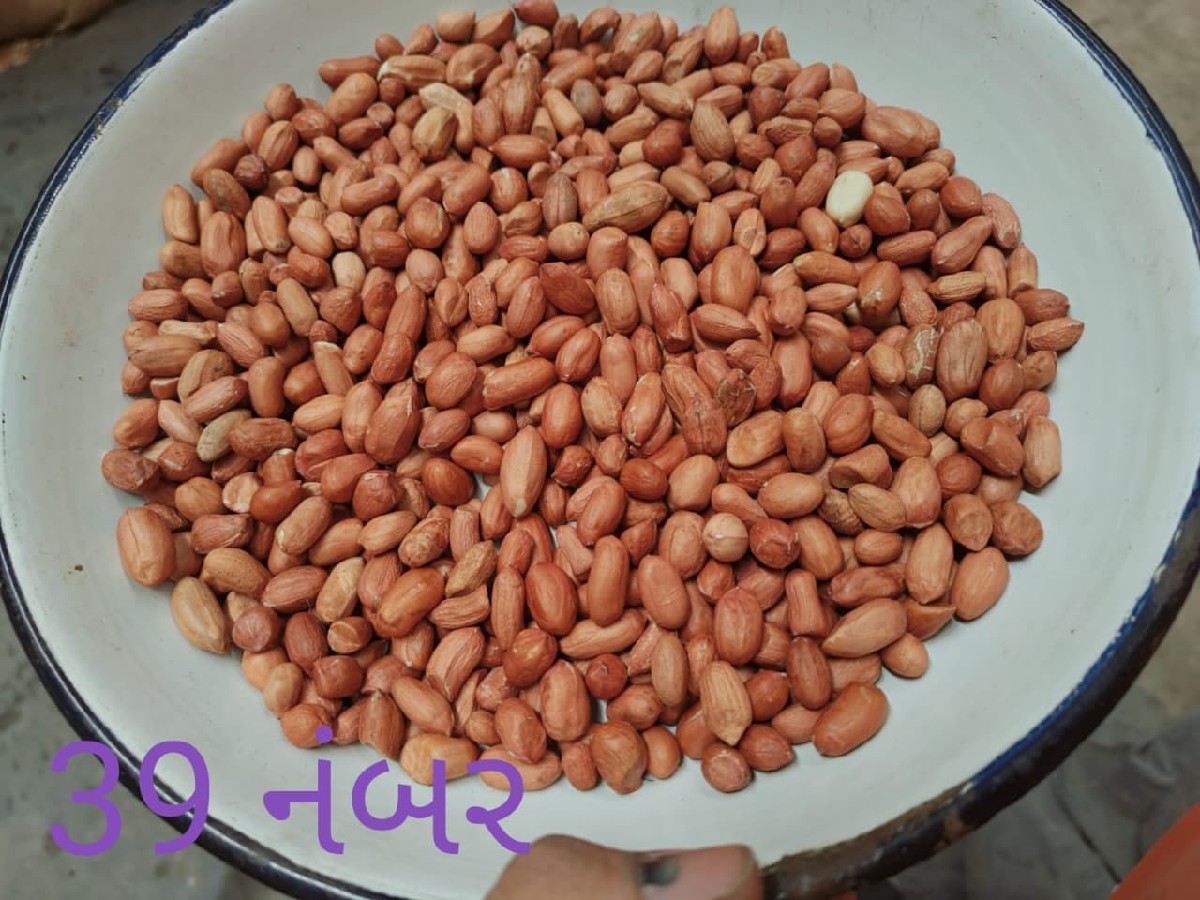 Post Image 4
