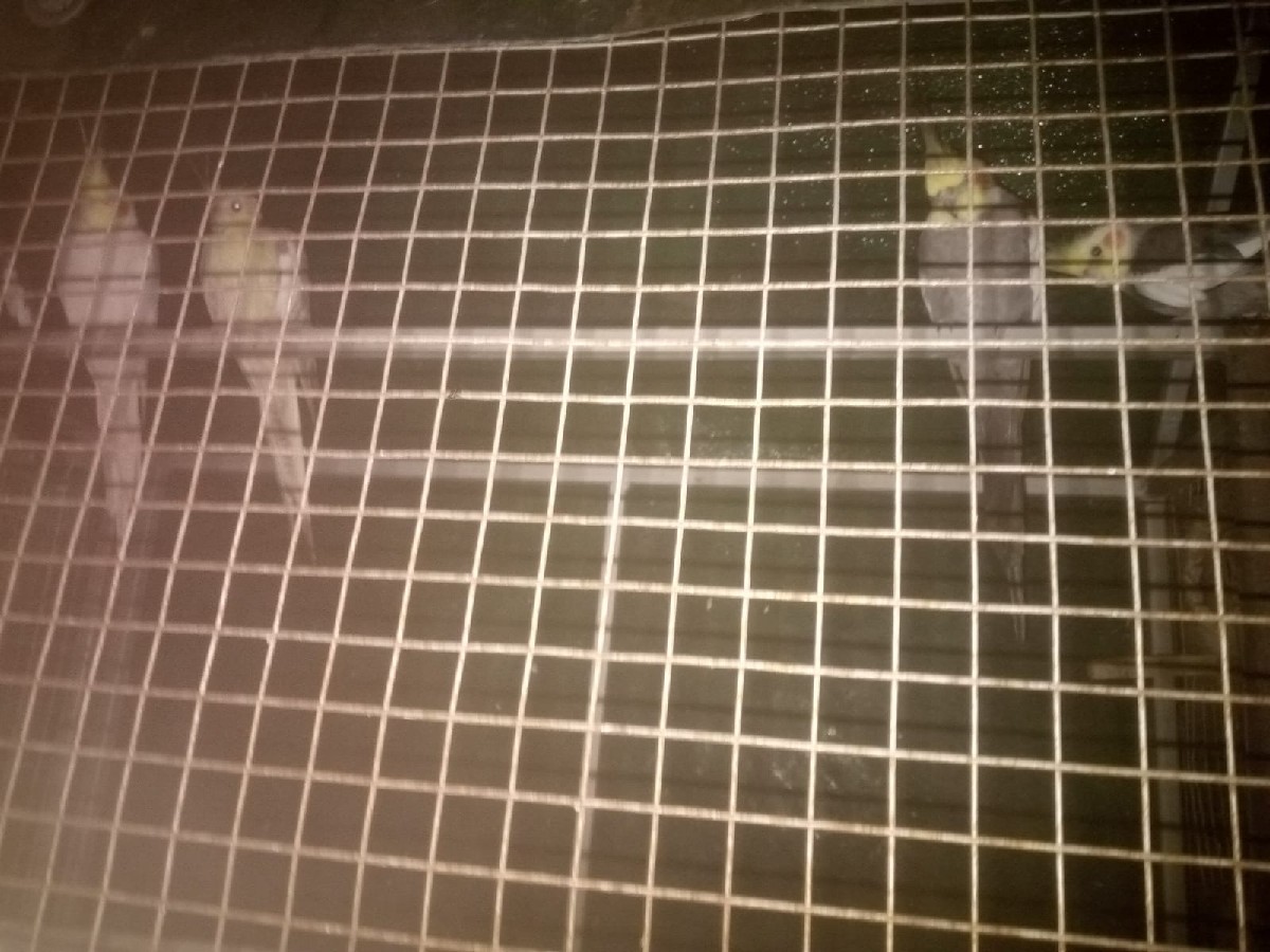 Post Image 3