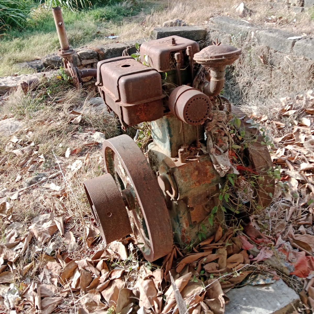 Post Image 3