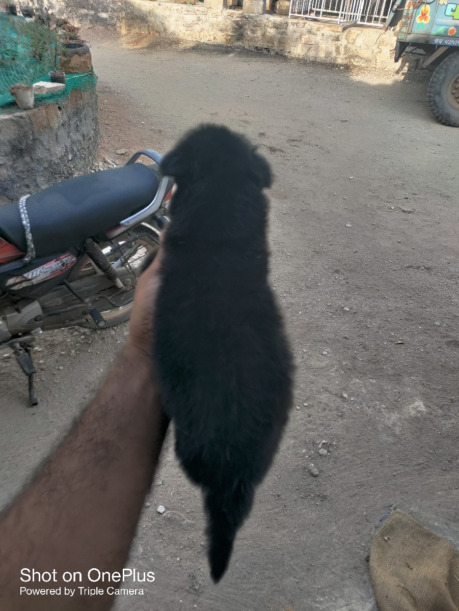 Post Image 2