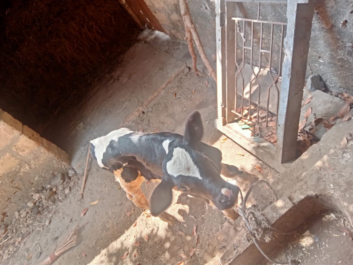 Post Image 3