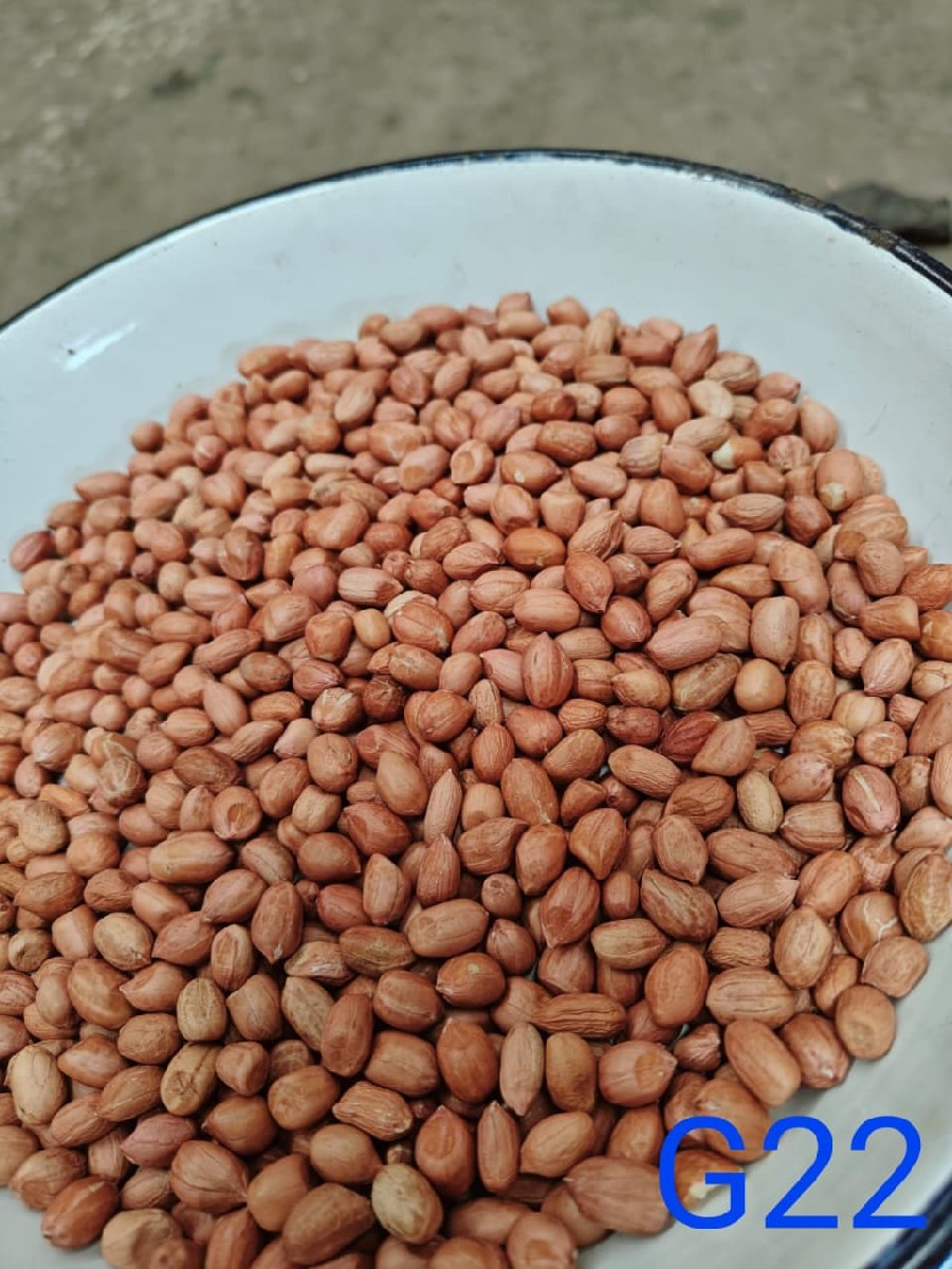 Post Image 6