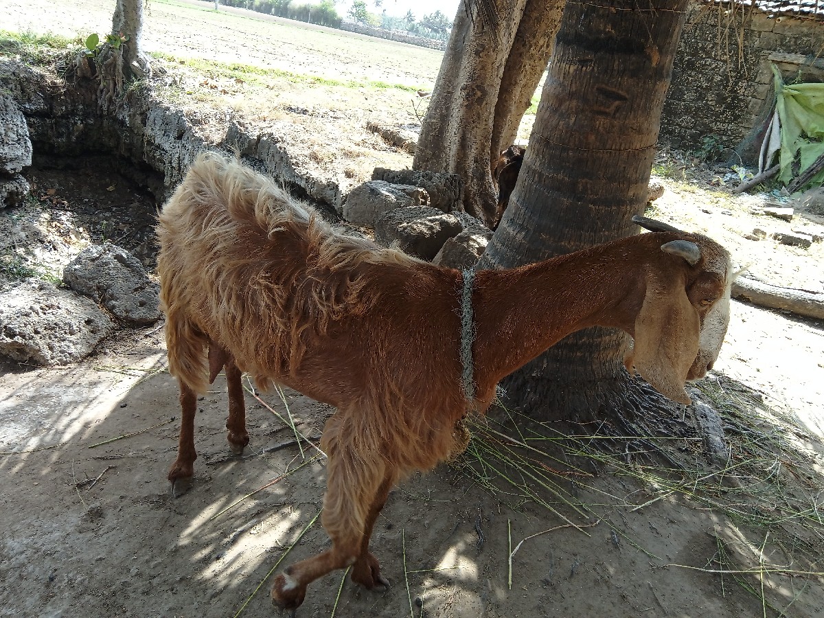 Post Image 2