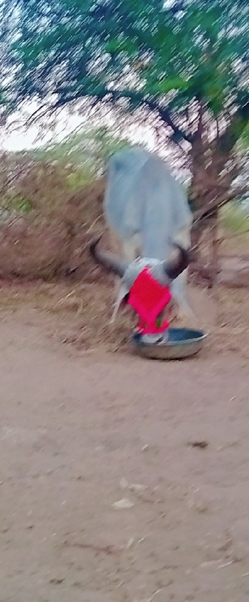 Post Image 2