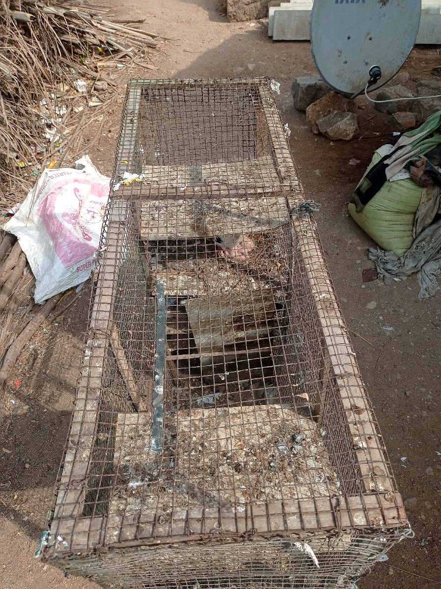 Post Image 3