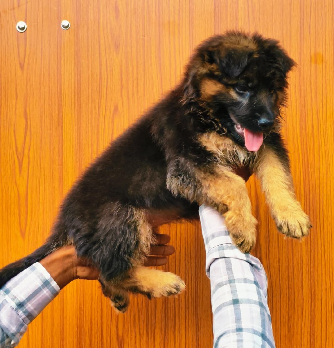 Post Image 1