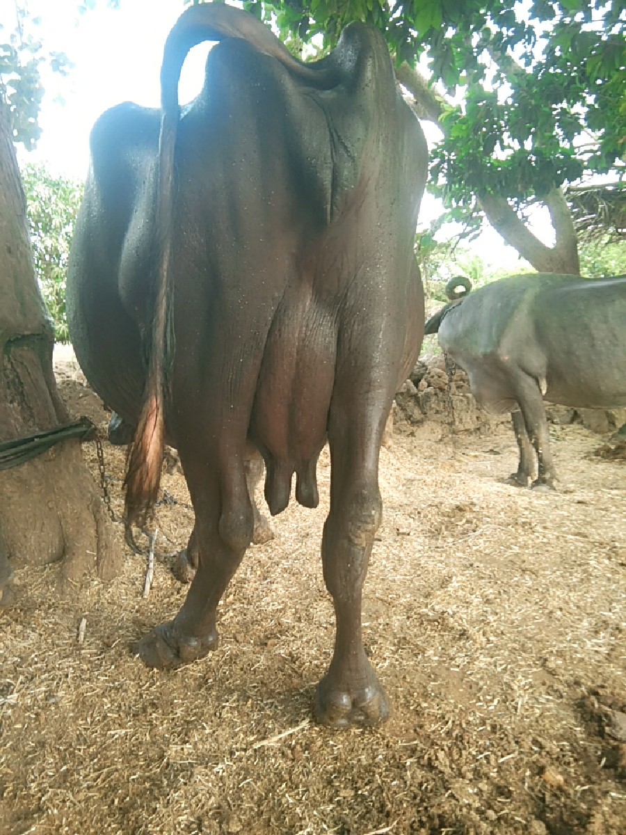 Post Image 2