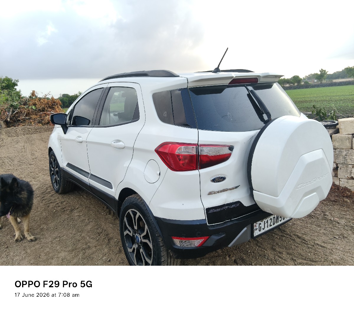 Post Image 2