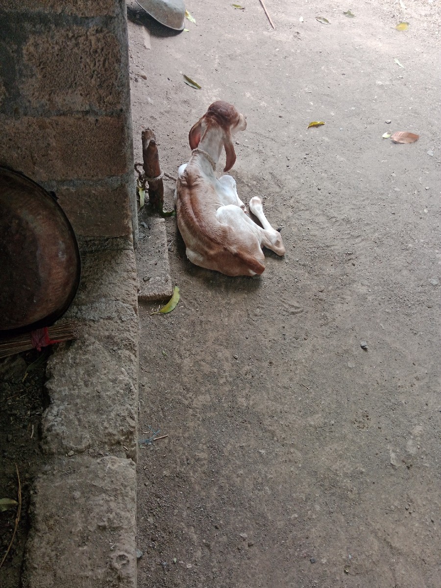 Post Image 3