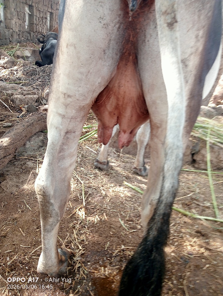 Post Image 2