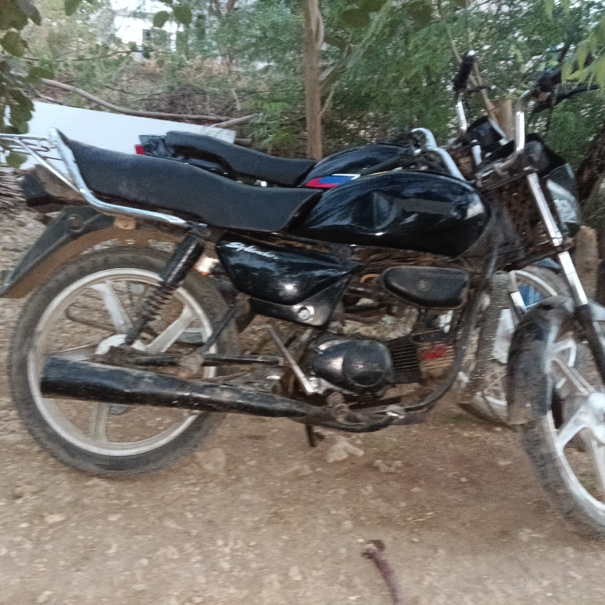Post Image 3