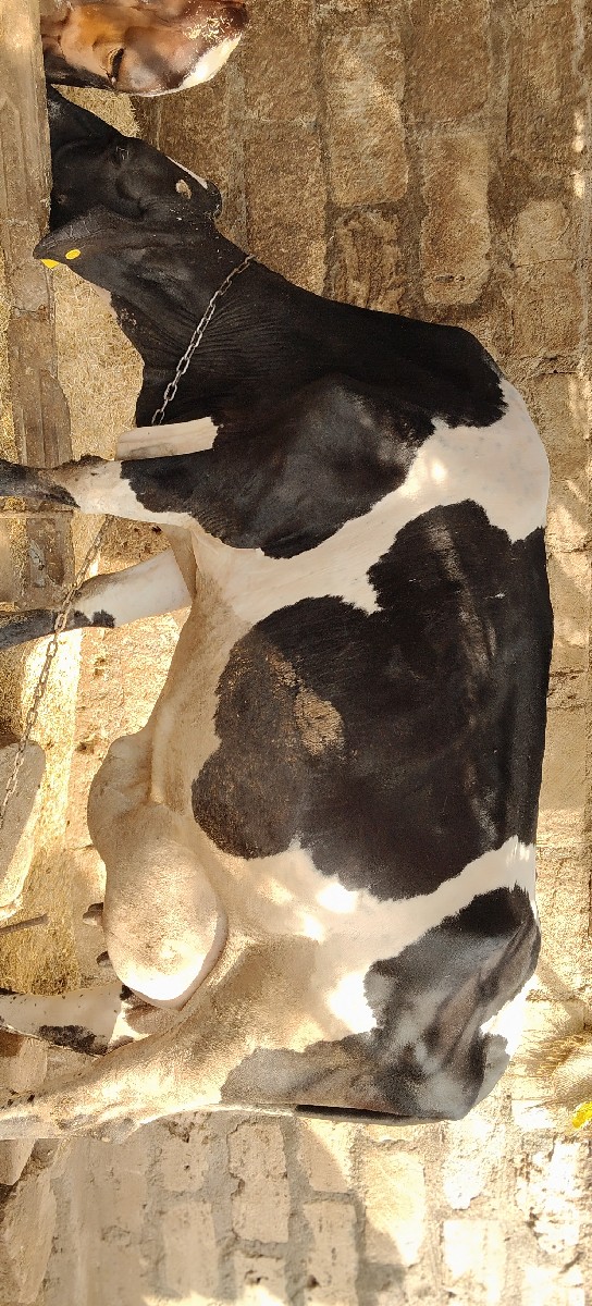 Post Image 3