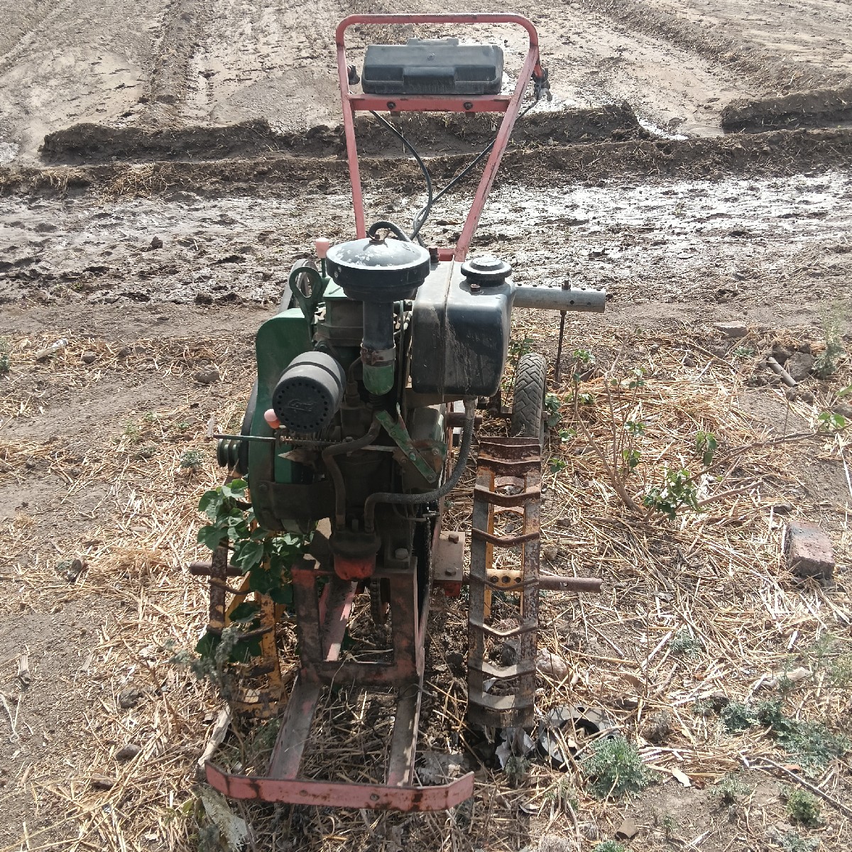 Post Image 3