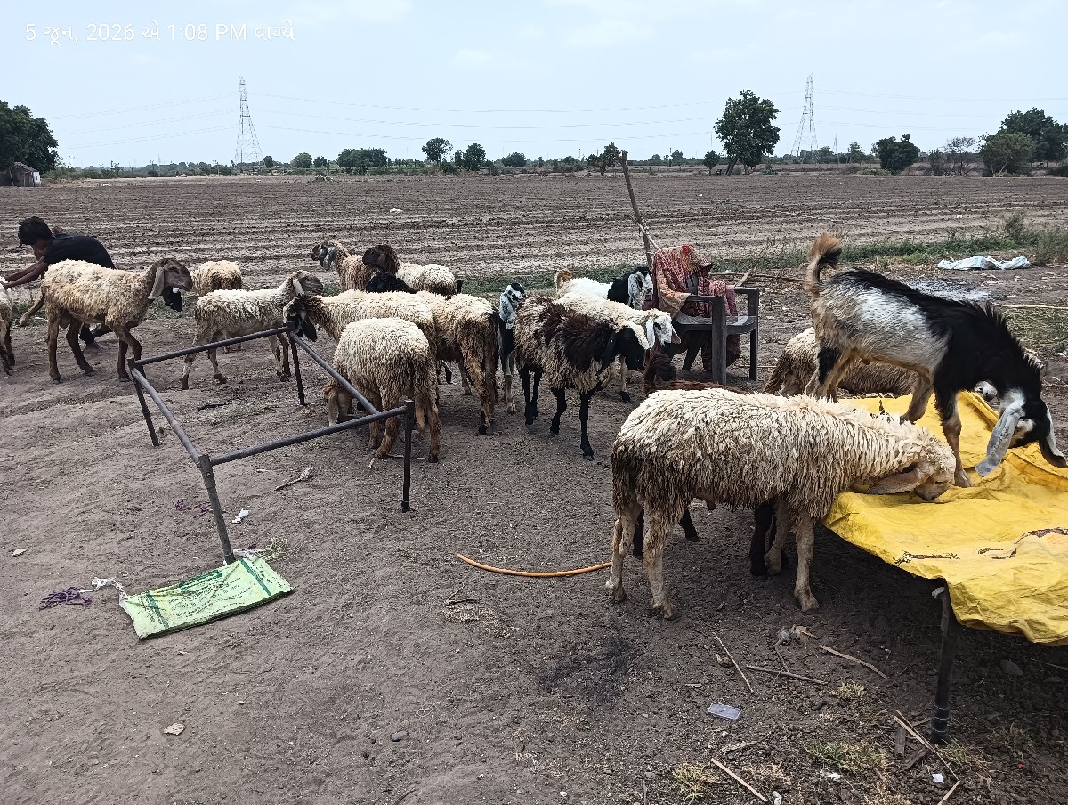 Post Image 3
