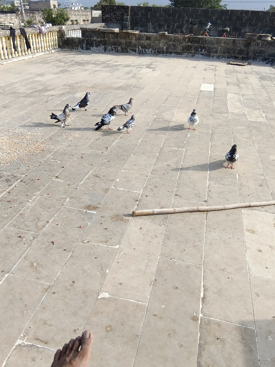 Post Image 1