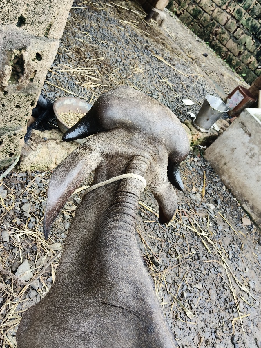 Post Image 6