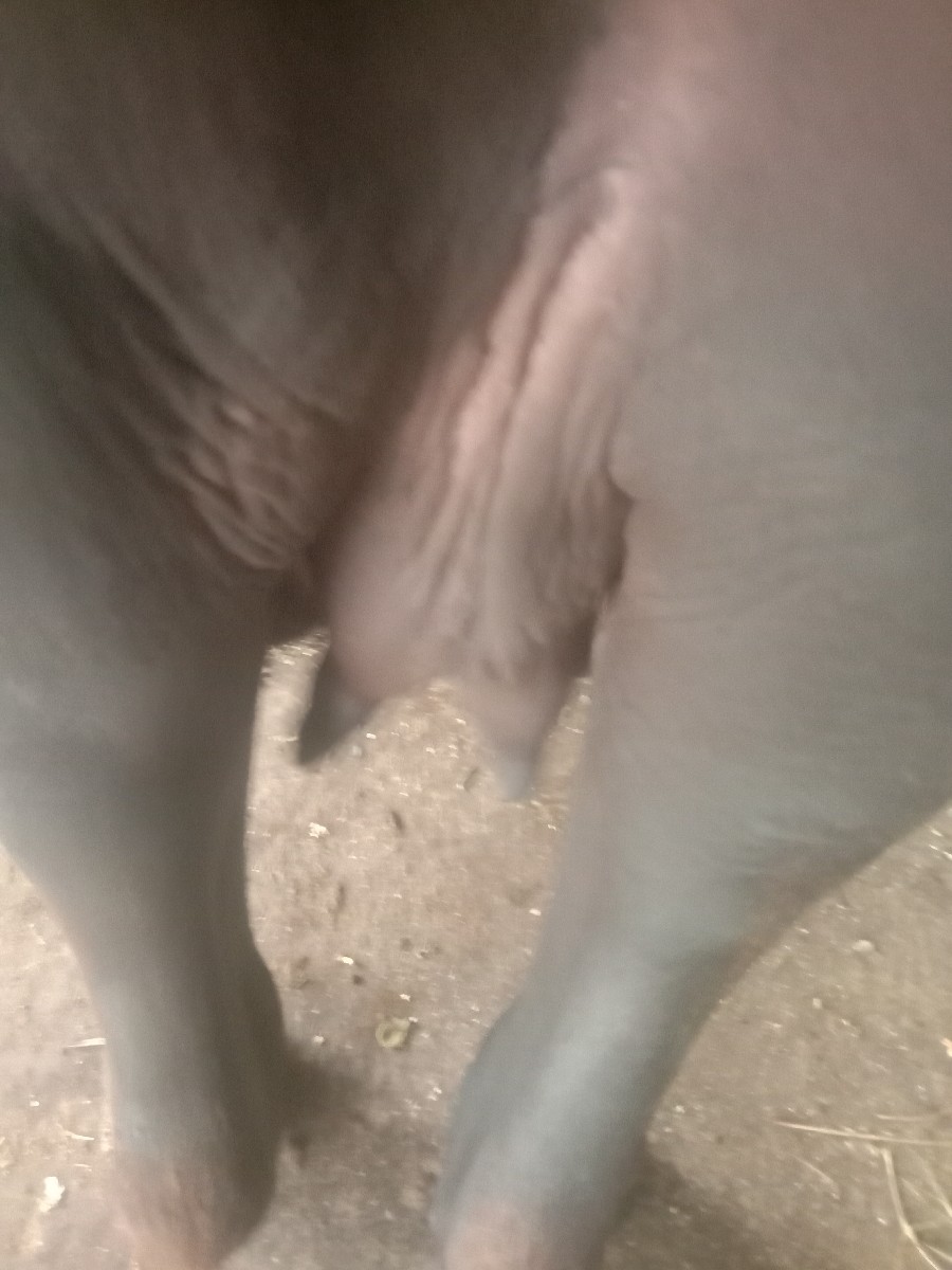 Post Image 4