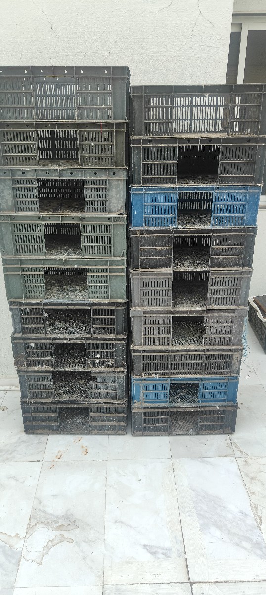 Post Image 2