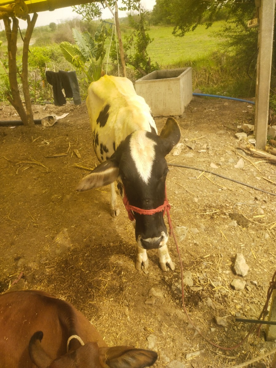 Post Image 2
