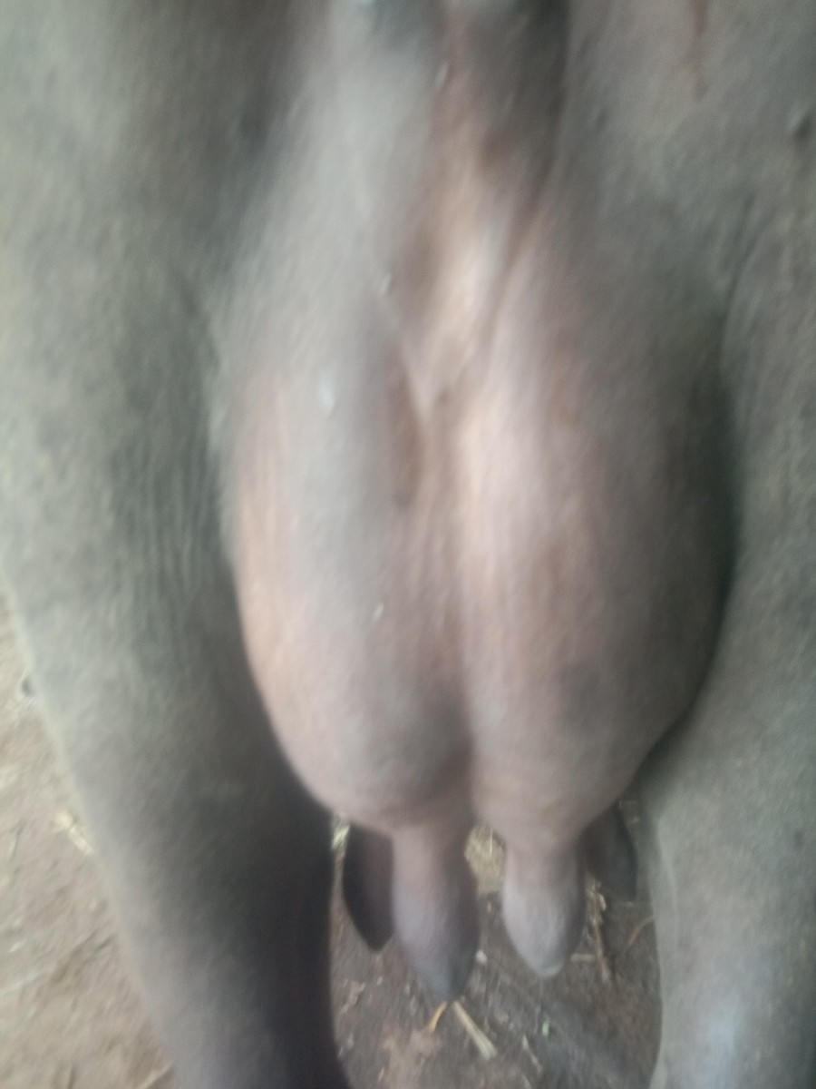 Post Image 2