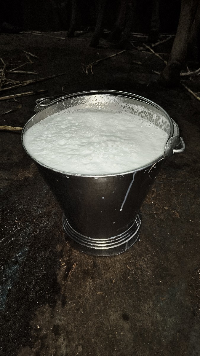 Post Image 6