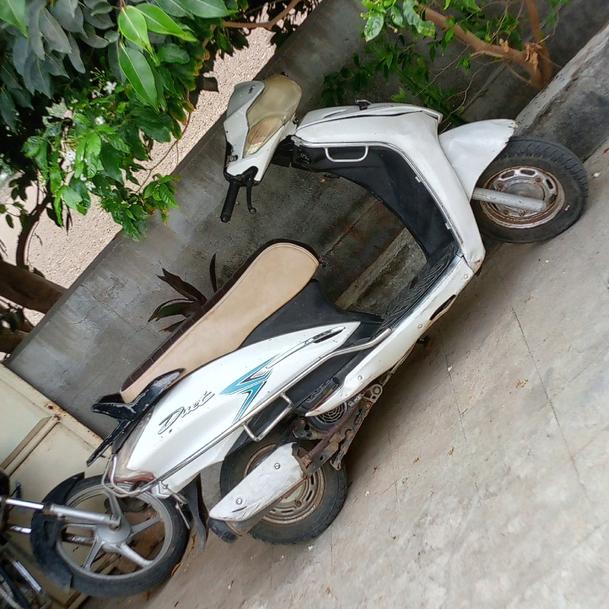 Post Image 3