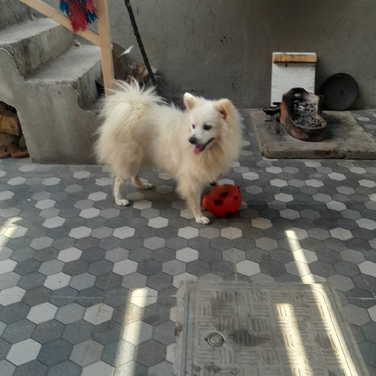 Post Image 1