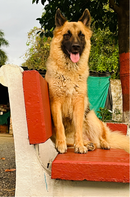 Post Image 3