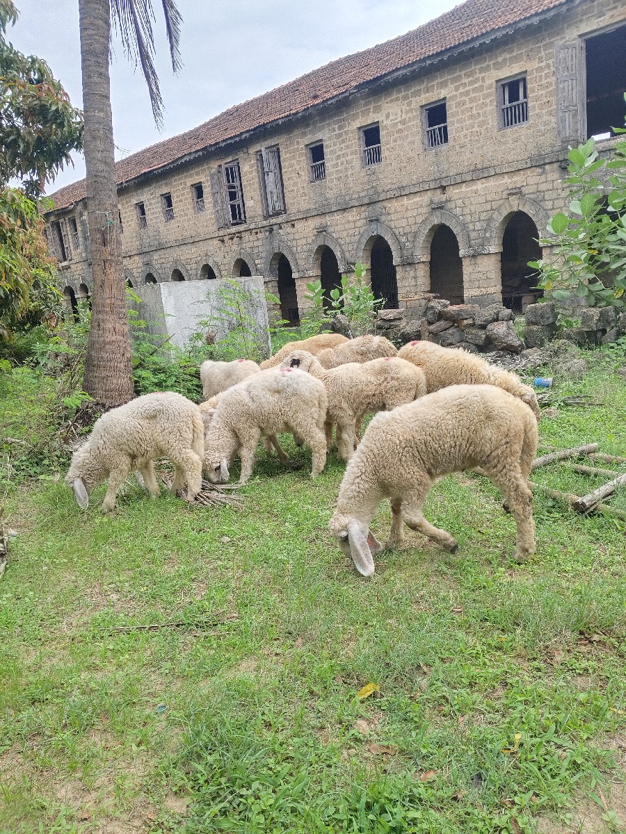Post Image 1