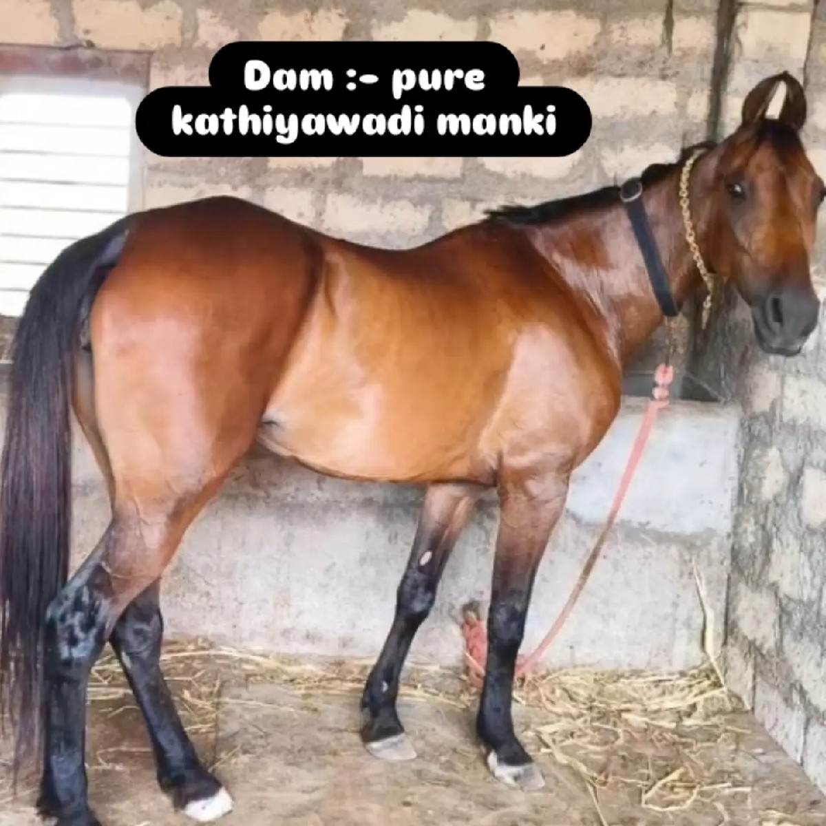 Post Image 3