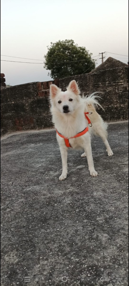 Post Image 1