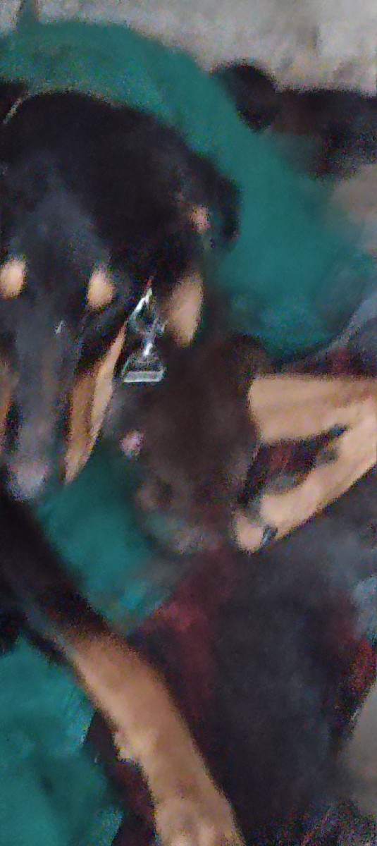 Post Image 2