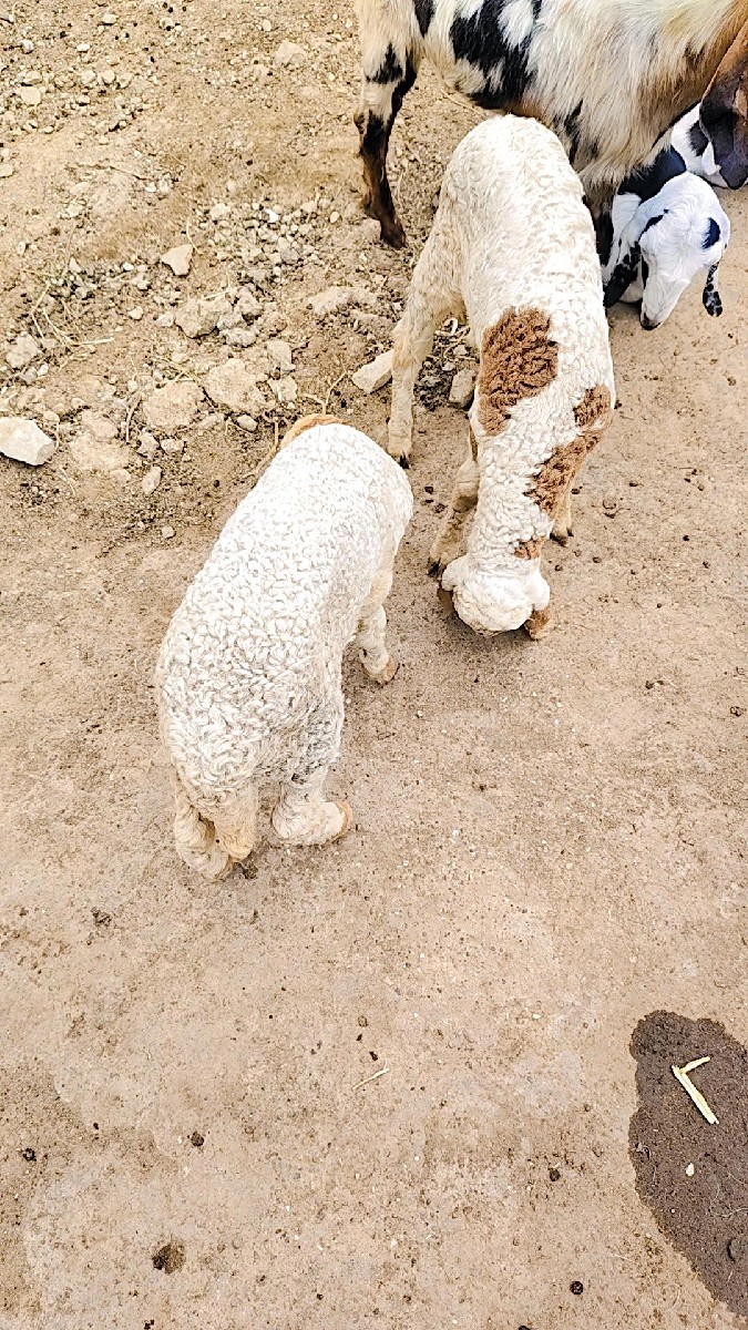 Post Image 3