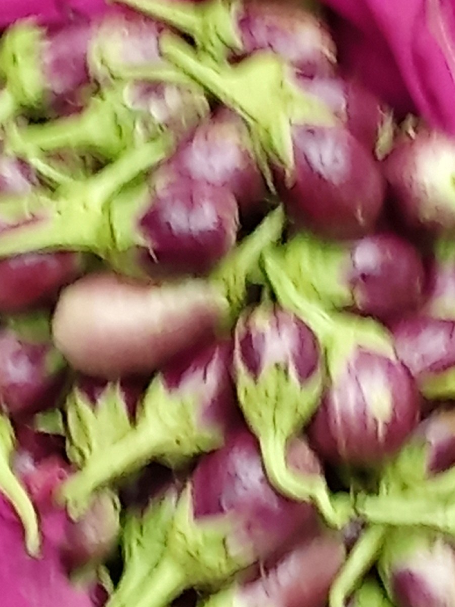 Post Image 3