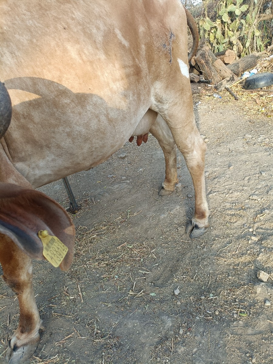Post Image 2