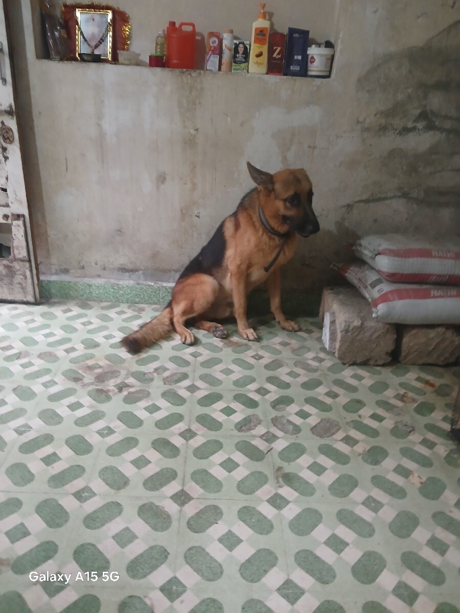 Post Image 3