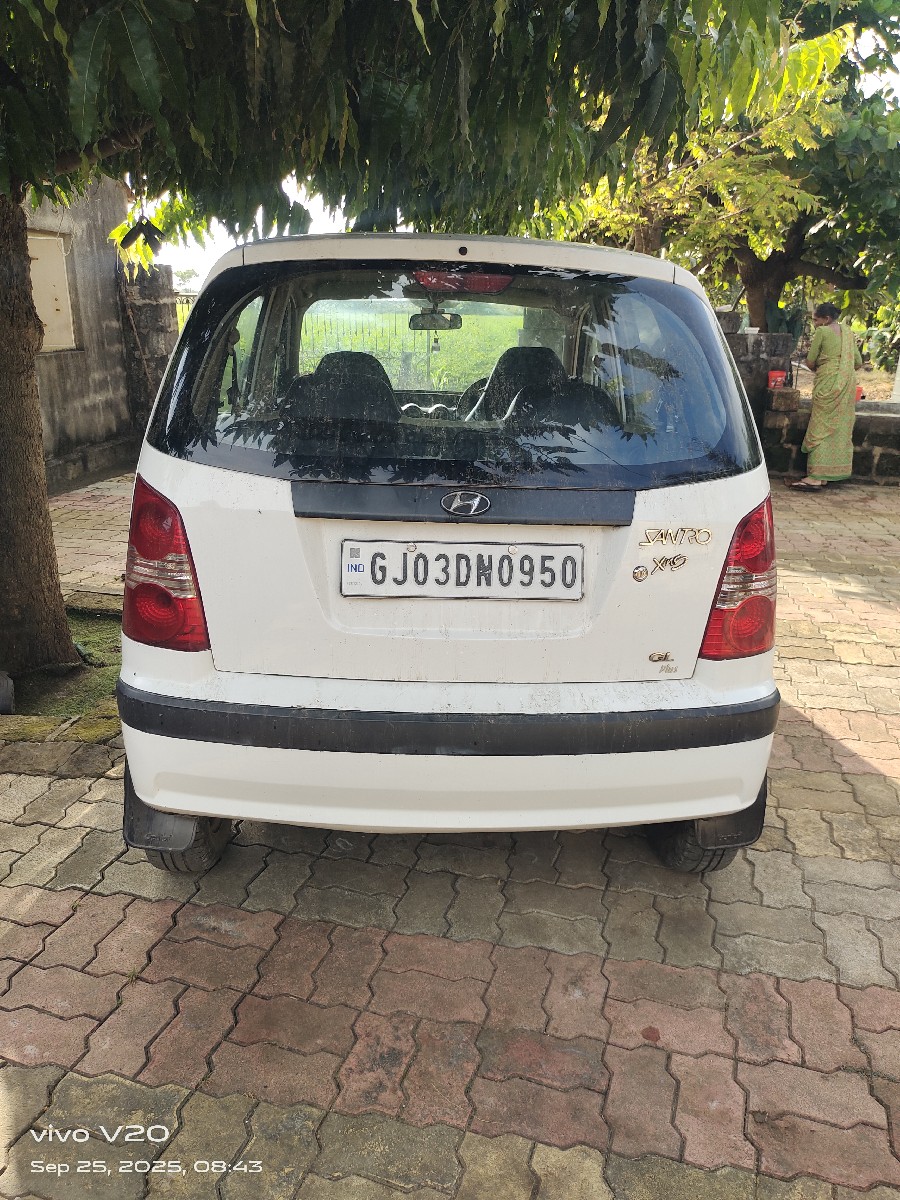 Post Image 3