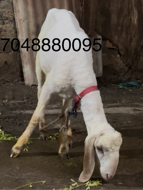 Post Image 3
