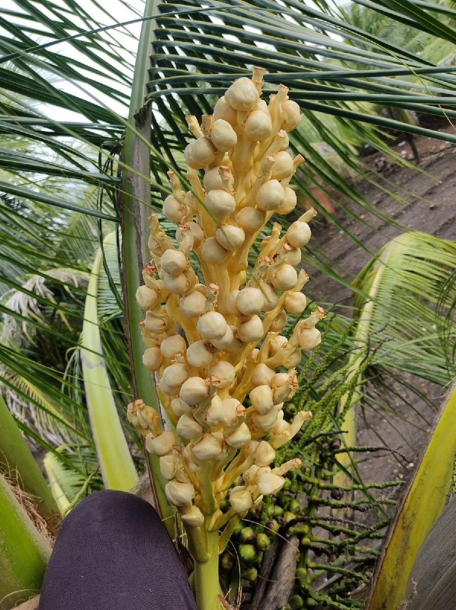 Post Image 3