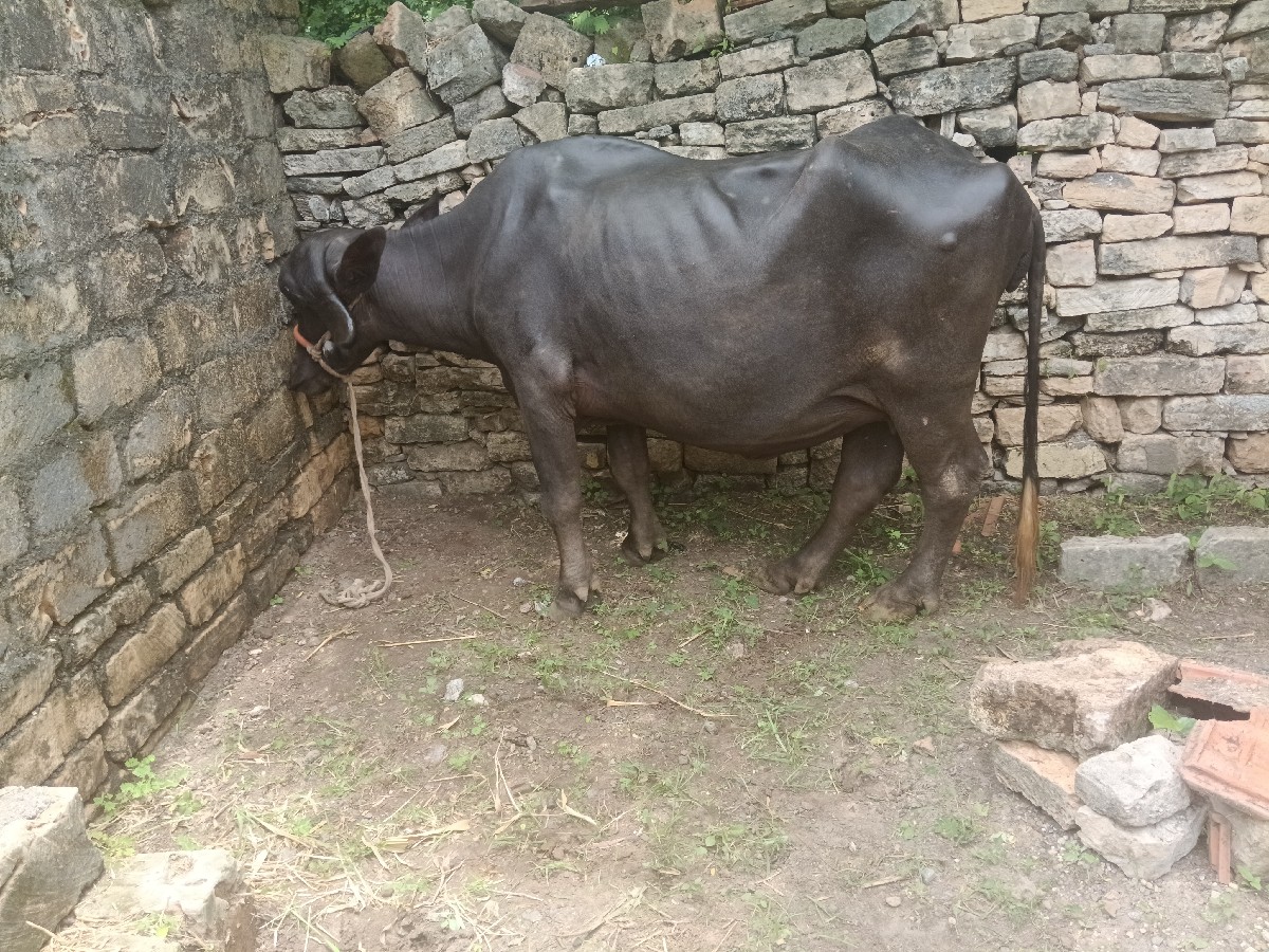 Post Image 4