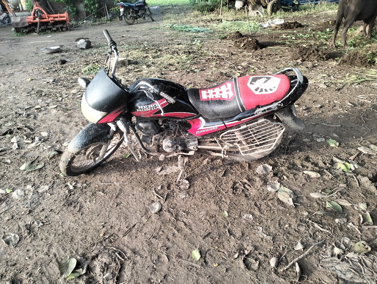 Post Image 1