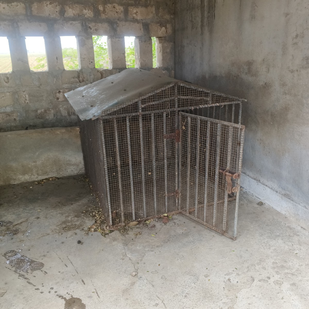 Post Image 2