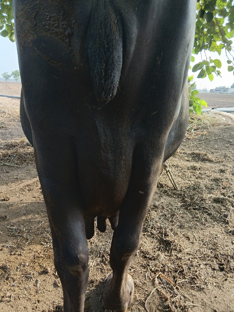Post Image 2