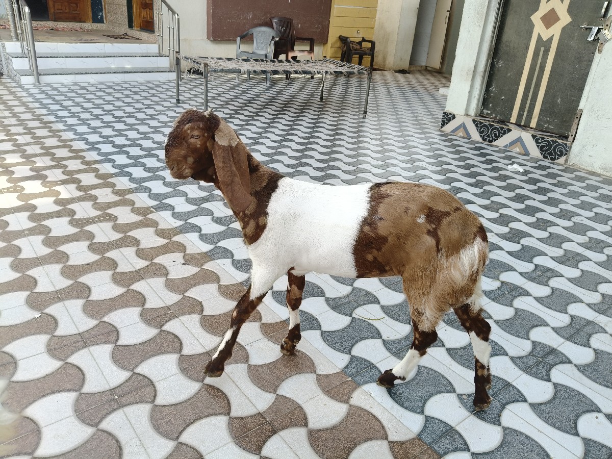 Post Image 2