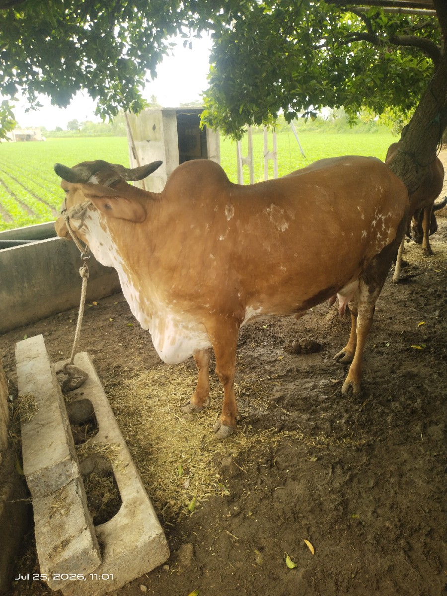 Post Image 2