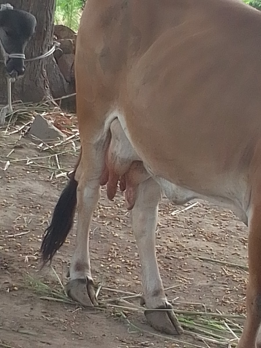 Post Image 1