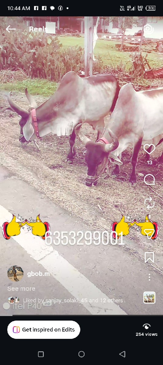 Post Image 3