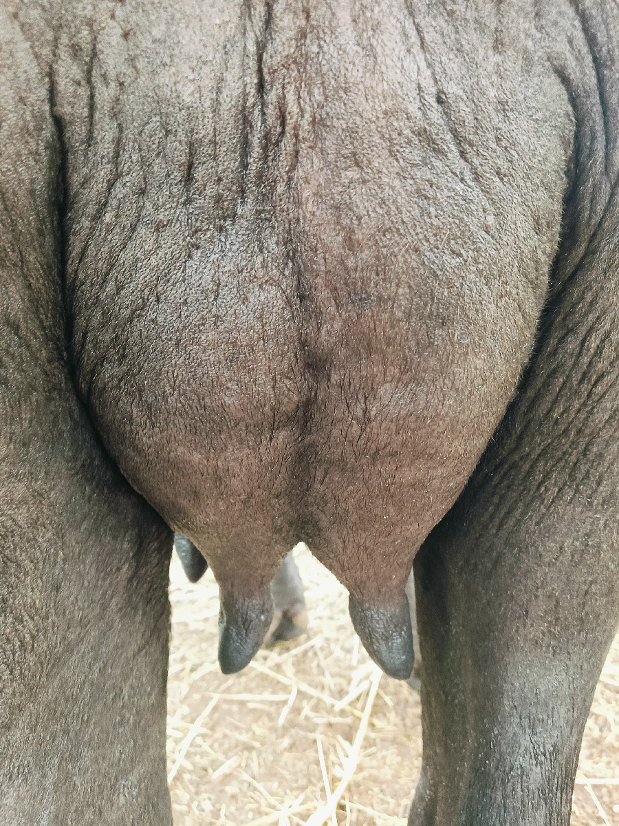 Post Image 3