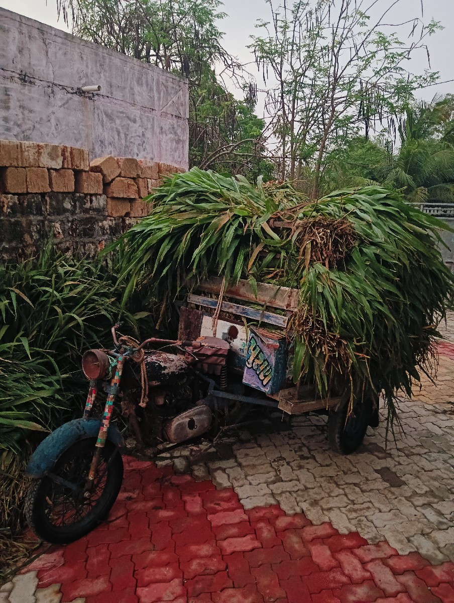 Post Image 2