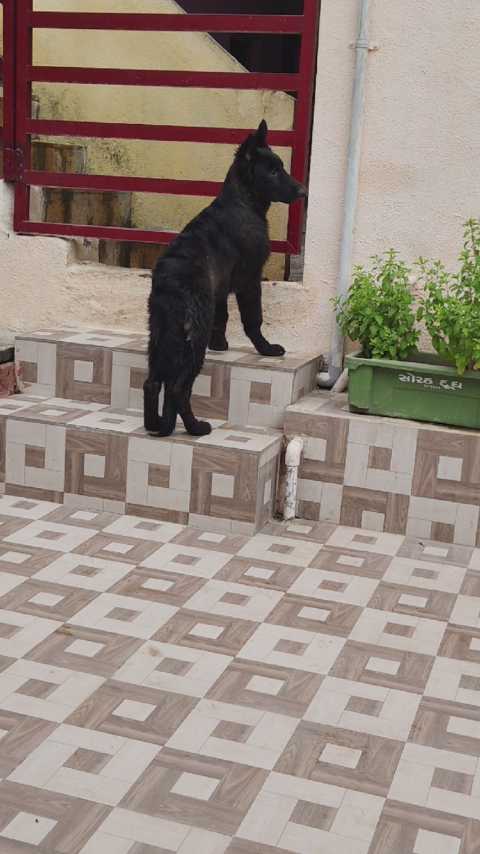 Post Image 3